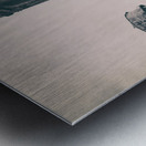 Alcatraz Recreation Yard Impression metal