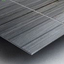 Two Pegs Metal print