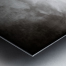 Forests Edge Metal print