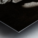 Judas Treason Metal print