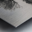 Dartmoor Tree Metal print