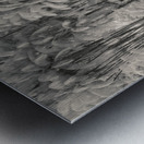 KLCC Park Bamboo Metal print