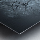 Winter in Central Park Impression metal