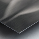 Tulip Pistil Metal print