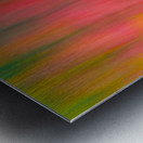 Tulips in Motion Metal print