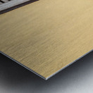 Ipoh Girl and Shutter Impression metal