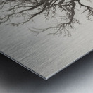 Dartmoor Solitude Impression metal