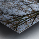 Edinburgh Castle Panorama Impression metal