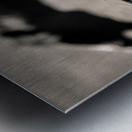 Horse Play Metal print