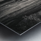 Plas Newydd Trees Impression metal