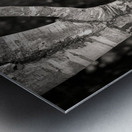 Burghley Birch Tree Impression metal