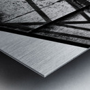 Dutch Greenhouse Metal print