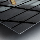 Street Light Metal print