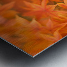 Leaves of Amber Metal print