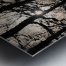 Woodland Waters Impression metal