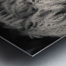 Cypress Leaves Metal print