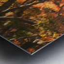 Shinjuku Gyoen Autumn Reflection Impression metal