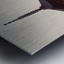 Yasaka Pagoda Impression metal