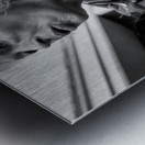 Hitchhiker Metal print