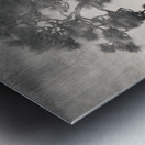 Pine Bonsai Reflection Impression metal