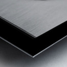 Kyoto House Plant Impression metal