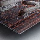 Fushimi Inari Inscription Metal print