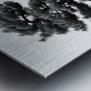 Japanese Black Pine Tree Metal print