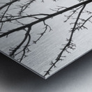 Islay Tree Metal print