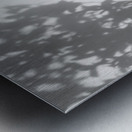 Nijo Castle Tree Metal print