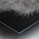 Highland Tree and Peak Metal print