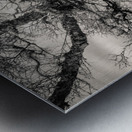 Lochan Na Cuilce Reflections Metal print