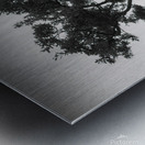 Crummock Water Tree Metal print