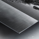 The Giants Causeway Metal print