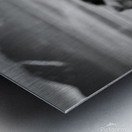 Icelandic Horses Impression metal