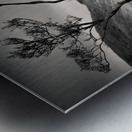 Kilchurn and Loch Awe Metal print