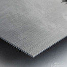 Snowcapped Firs Metal print