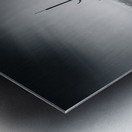 Sun Voyager Metal print