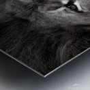 Lion Impression metal