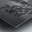 Kilchurn Castle Impression metal