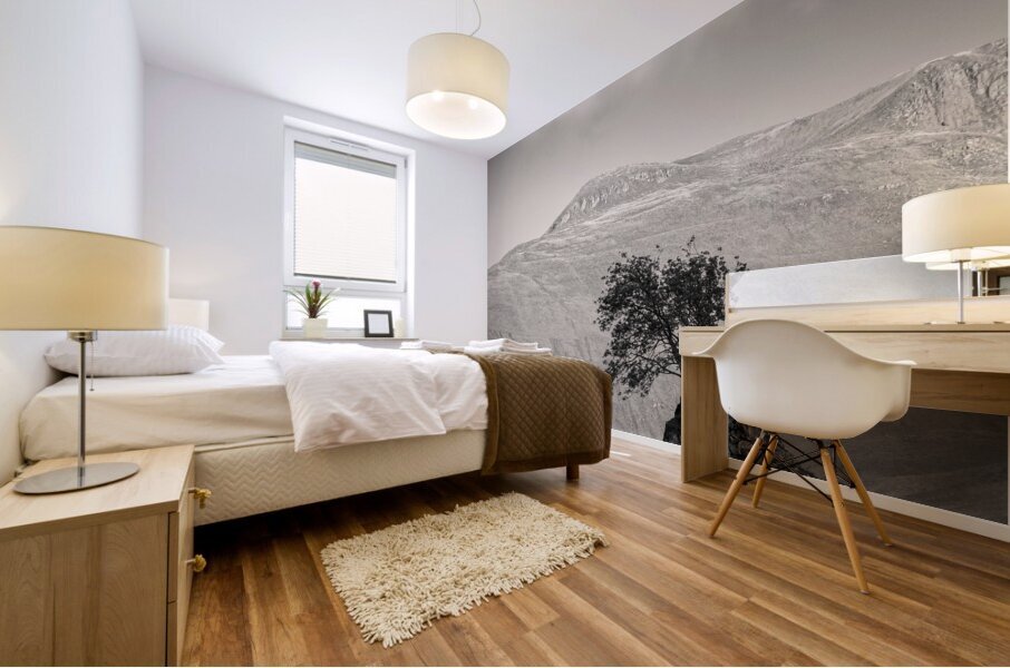 Glen Shiel Tree Impression murale