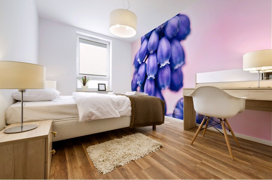 Muscari Buds Mural print