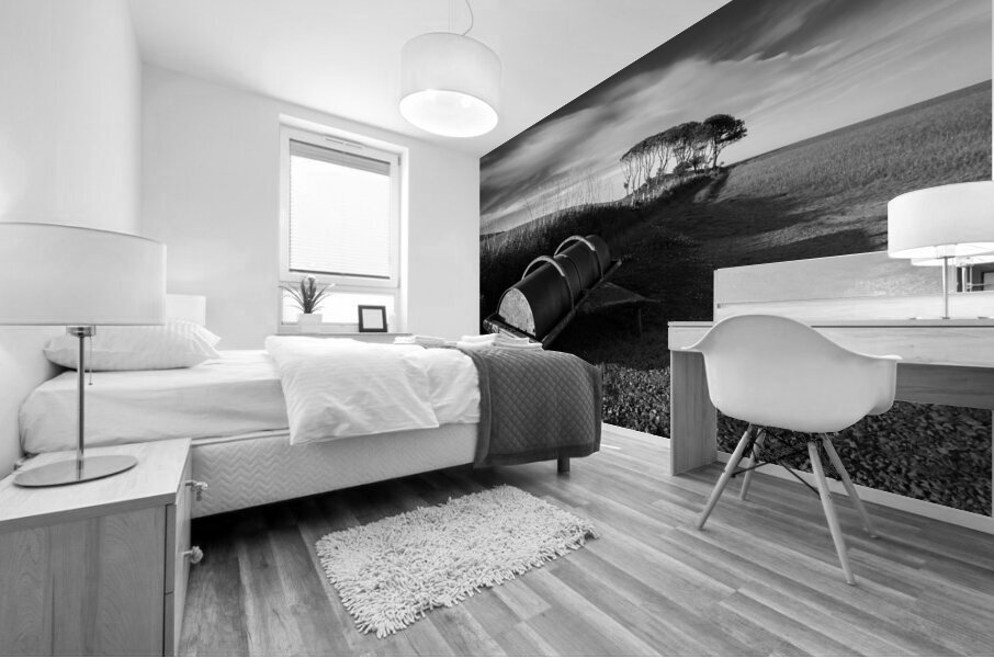 Crawton Field Roller Mural print