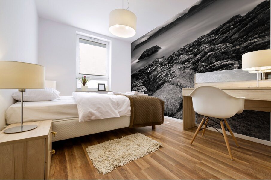 Arran View Mural print