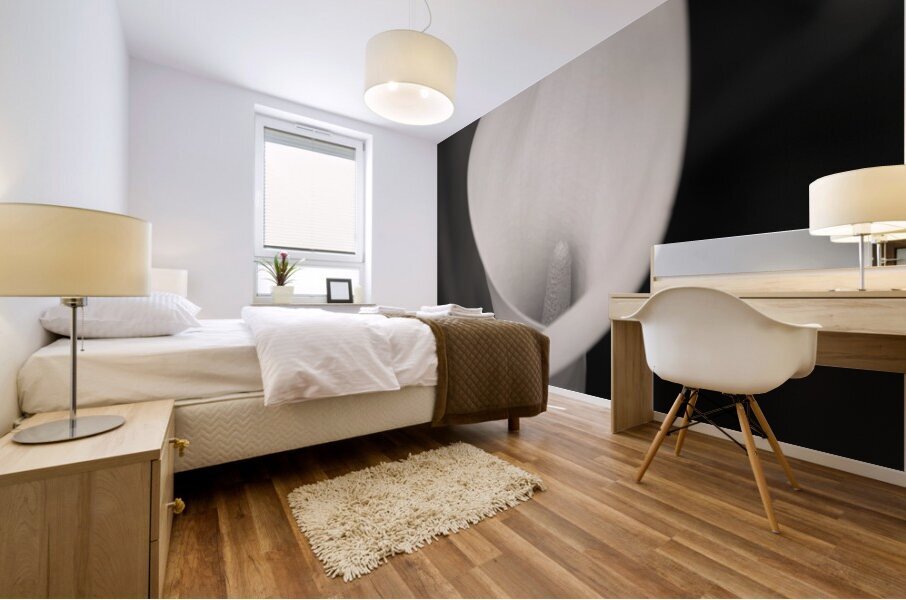 Calla Lily Bloom Impression murale