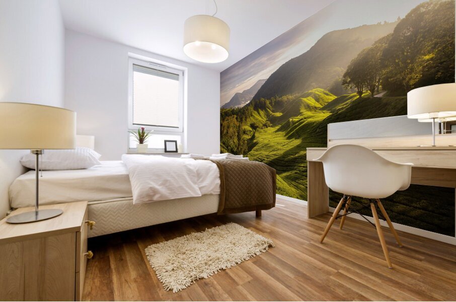 Tea Plantation Sunrise Impression murale