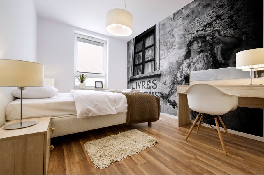 Old Books Impression murale