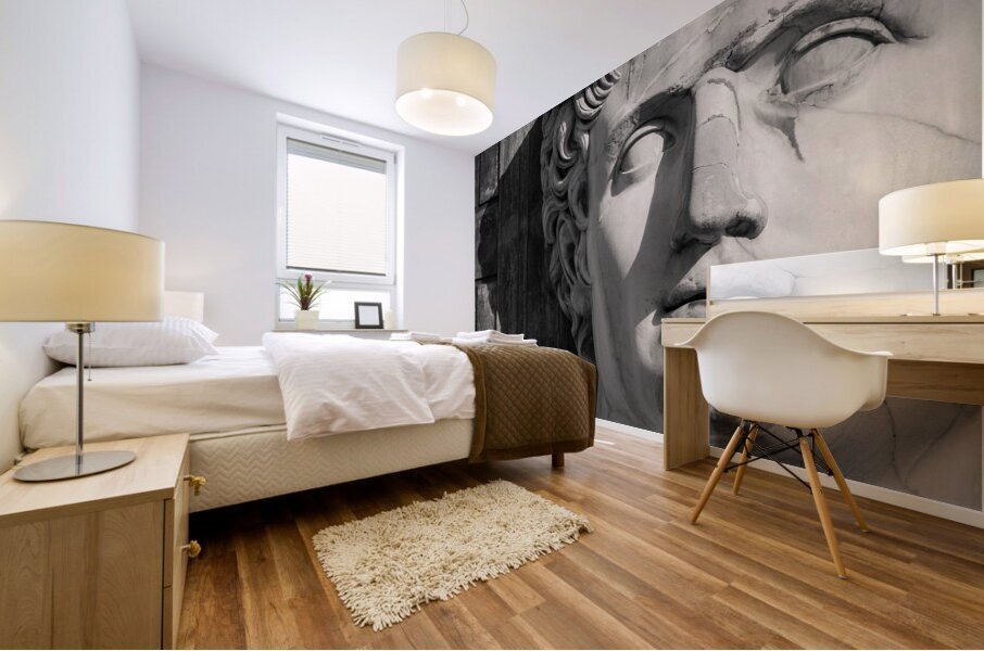 Augustus Mural print