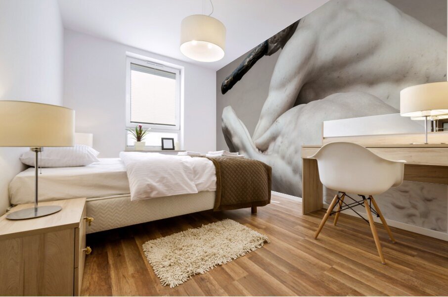 Hercules and the Centaur Nessus Impression murale