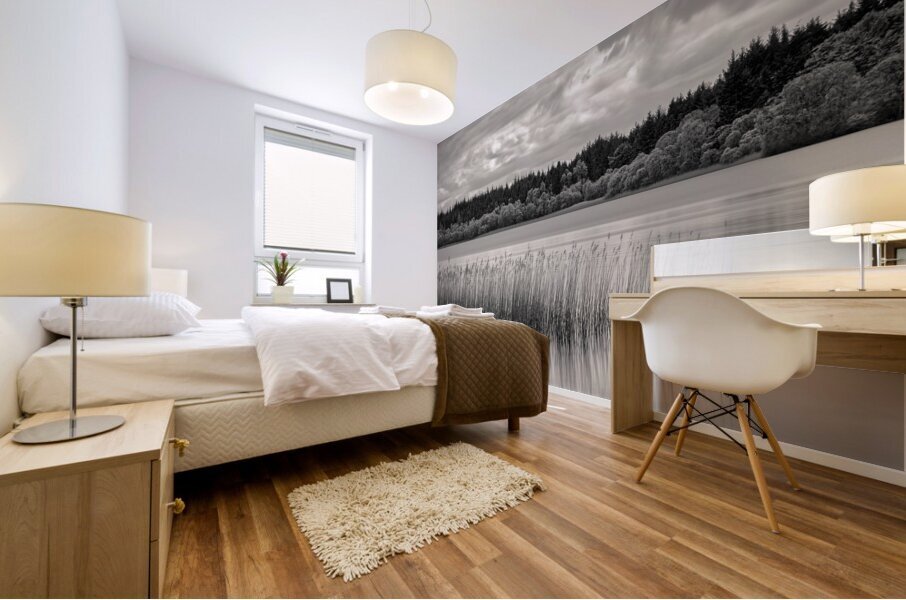 Lake of Menteith Impression murale