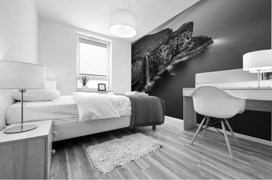 Crawton Cliffs Mural print